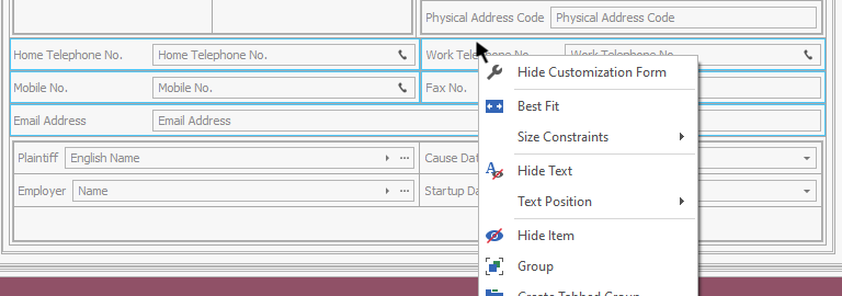 Form Customization - Field Grouping